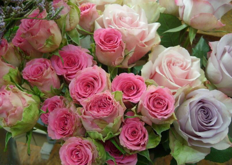 插花教程 | 插花構(gòu)圖需要注意的問(wèn)題