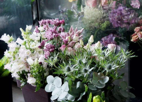 廣西插花學(xué)校：花材處理技巧（一）