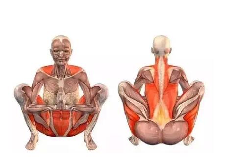 瑜伽動(dòng)作小課堂！