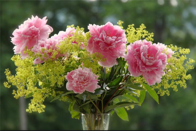 廣西插花培訓分享：適合清明節(jié)祭祀用的花