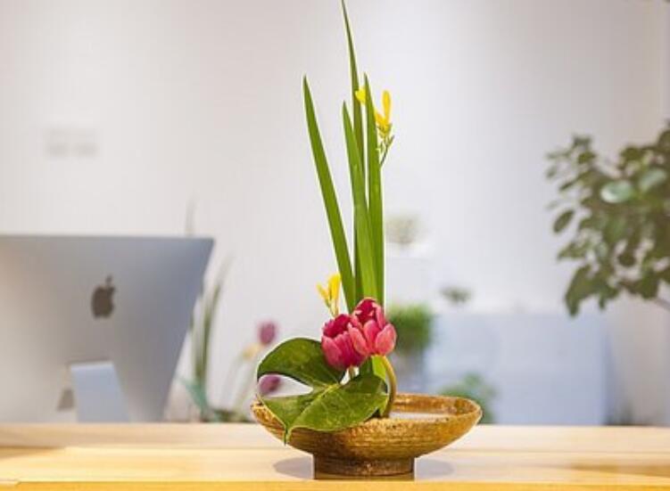 什么是盆式插花？南寧插花培訓(xùn)課程解析