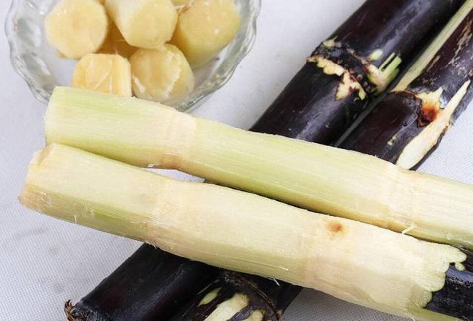 秋冬適合吃什么？南寧教美容養(yǎng)生的學(xué)校分享給你