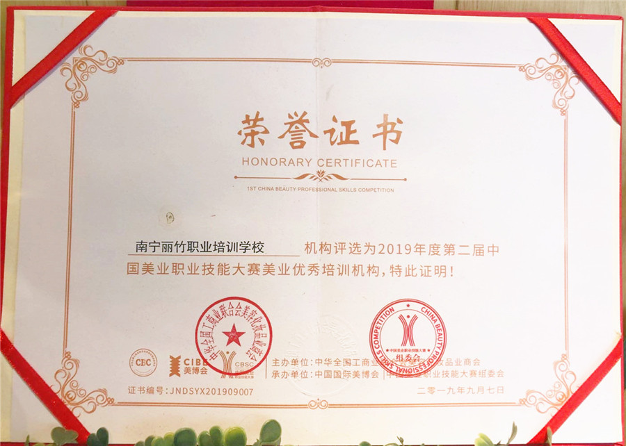 美業(yè)優(yōu) 秀培訓(xùn)機構(gòu) | 2019年度第二屆中國美業(yè)職業(yè)技能大賽