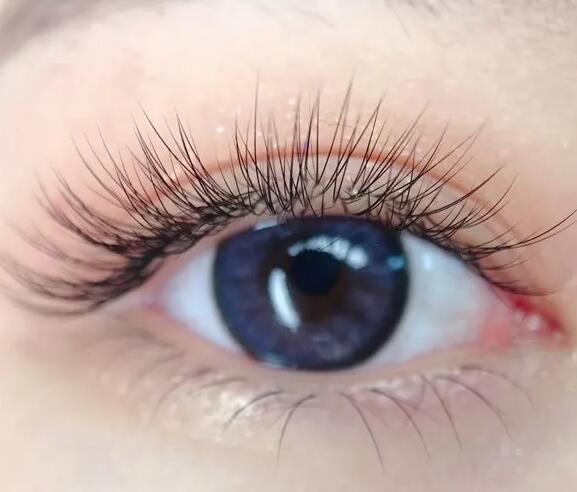 美睫款式怎么挑？麗竹美睫培訓(xùn)班教你