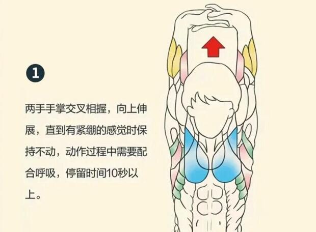 南寧美容師培訓要學什么？背部護理就是其中一項