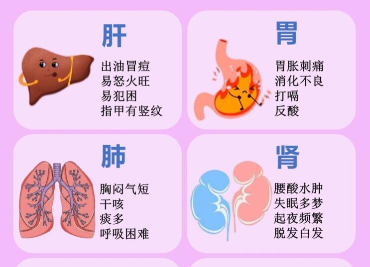 6大臟器保養(yǎng)指南，6款養(yǎng)生茶喝起來 ???