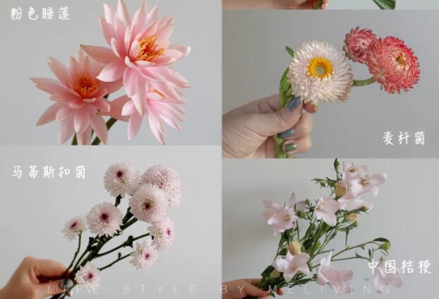 認識常見花朵的名稱，廣西插花學?；ㄋ嚺嘤柣A