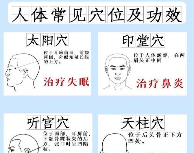 人體常見穴 位及功效，廣西專業(yè)正規(guī)美容學(xué)校講解