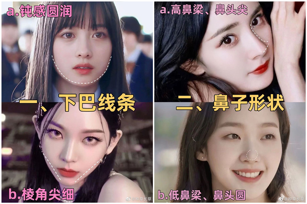 彩妝妝容分析分享：自測動物系長相？