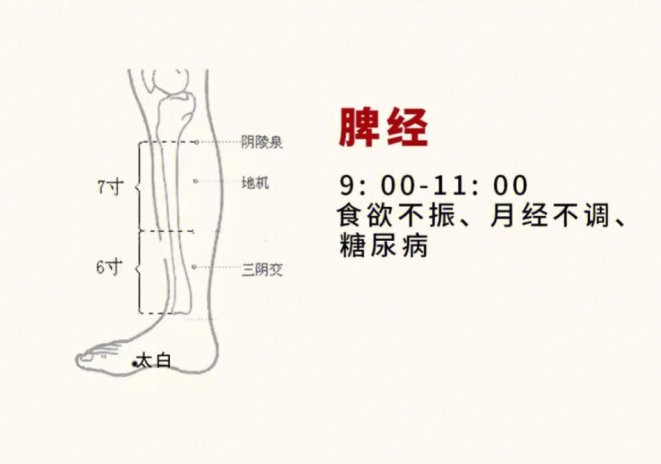 日常容易堵塞的身體部位，廣西美容基礎(chǔ)教學(xué)