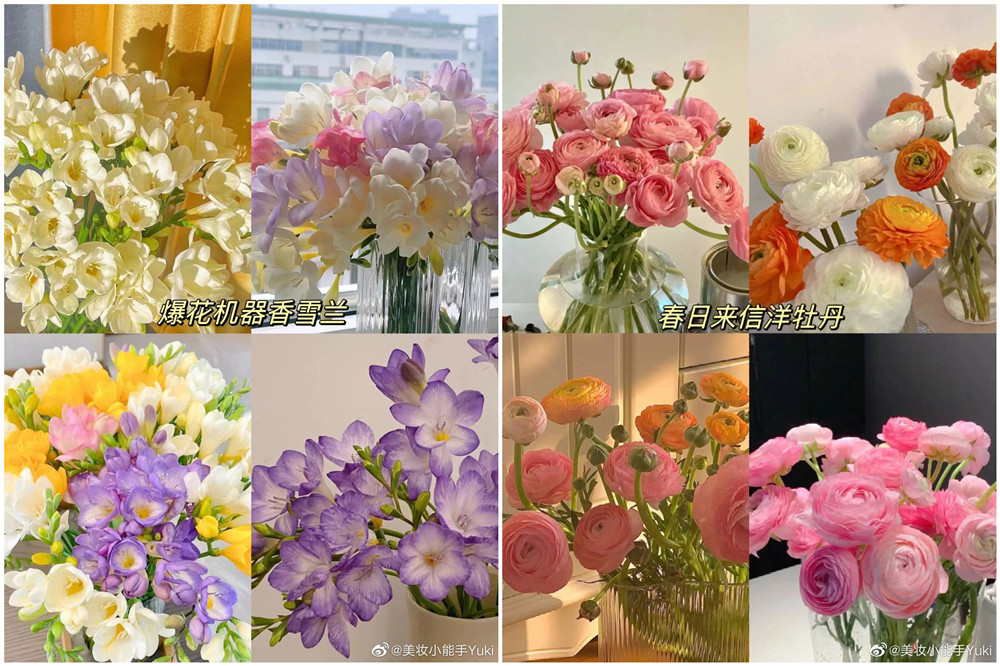 南寧花藝鮮花學(xué)校 | 南寧鮮花培訓(xùn)