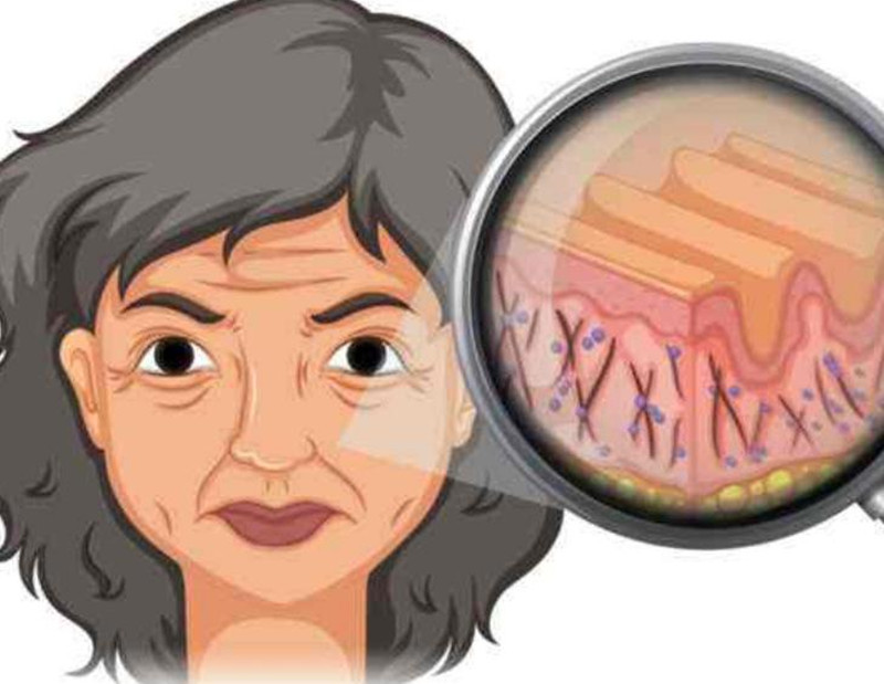 女性如何延緩衰老？南寧皮膚管理培訓(xùn)班講解