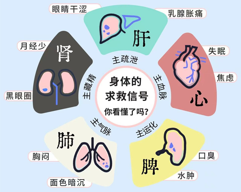南寧專業(yè)美容管理學(xué)校：五臟六腑如何管理？