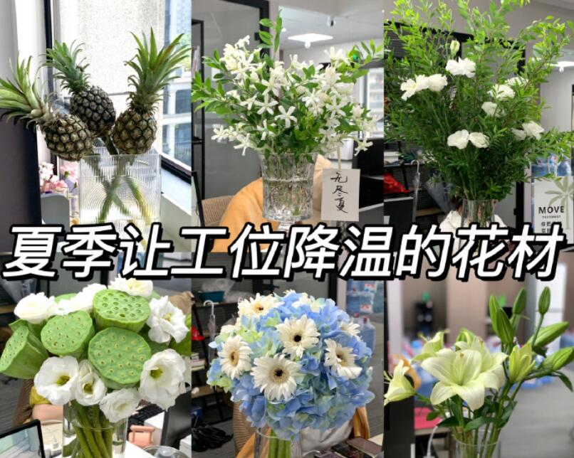 自帶降溫效果的花材，廣西學(xué)鮮花技術(shù)
