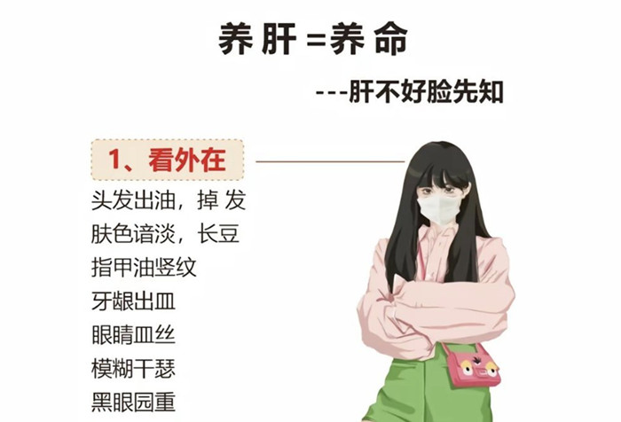 南寧學(xué)健康美容：如何正確養(yǎng)肝？