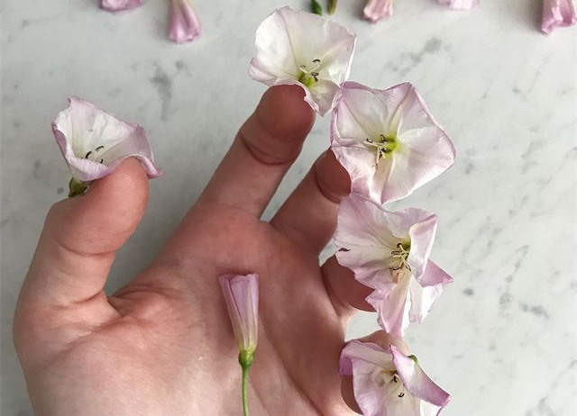 植物藝術(shù)美甲，南寧美甲造型設(shè)計(jì)培訓(xùn)分享