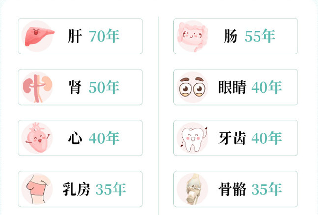 人氣器官保質期，南寧美容養(yǎng)生培訓中心解析