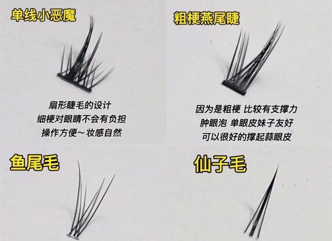 假睫毛科普知識，廣西化妝基礎(chǔ)