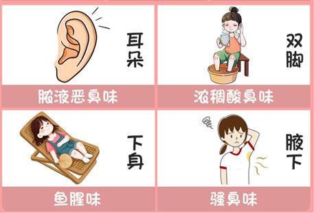 體味重的部位和緩解方法，廣西美容美體專(zhuān)業(yè)介紹