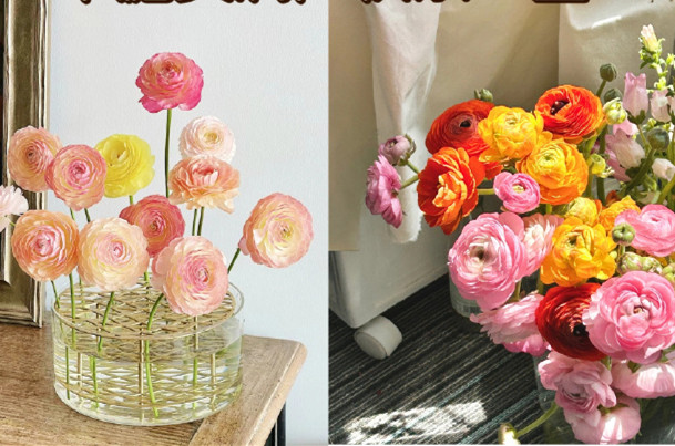 小眾但花語(yǔ)很美的花卉，南寧鮮花知識(shí)培訓(xùn)