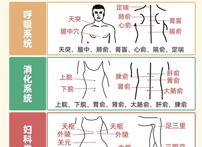 不同部位三伏貼艾灸作用，廣西美體中醫(yī)培訓(xùn)