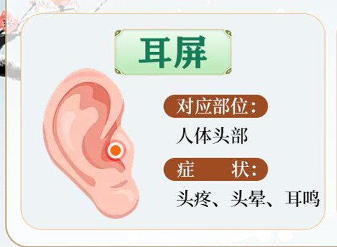 常按耳朵的好處，南寧美容美體哪里專業(yè)？