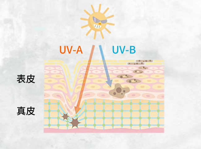 物理防曬和化學(xué)防曬怎么選？廣西皮膚管理美容